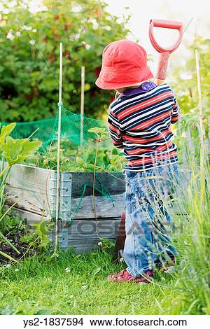 Small child 3 years old playing in a garden and exploring the plants, Sweden View Large Photo Image Picture - Small child 3 years old playing in a garden and exploring the plants, Sweden. Fotosearch