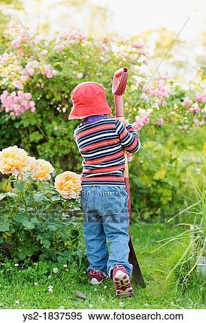 Stock Photography - Small child 3 years old playing in a garden and exploring the plants, Sweden. Fotosearch