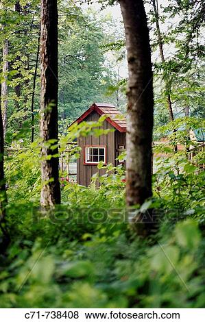 Stock Photo - Small country shed/building in the woods. Fotosearch