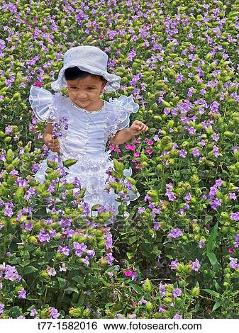 Small girl at green heaths, Plateau of flowers, Kaas, Satara, Maharashtra, India View Large Photo Image Stock Photograph - Small girl at green heaths, Plateau of flowers, Kaas, Satara, Maharashtra, India. Fotosearch