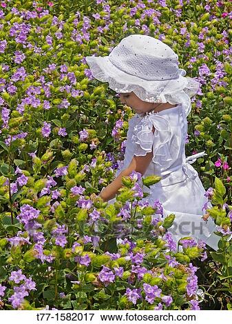 Small girl at Plateau of flowers, Kaas plateau, Kaas, Satara, Maharashtra, India View Large Photo Image Stock Photo - Small girl at Plateau of flowers, Kaas plateau, Kaas, Satara, Maharashtra, India. Fotosearch