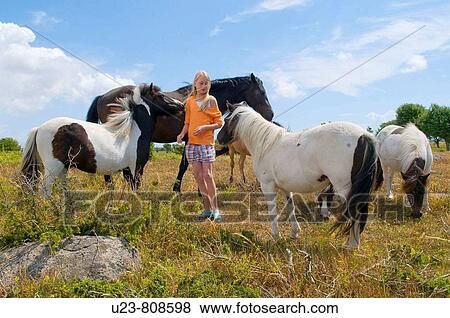 Stock Photo - Small girl in a pony herd.. Fotosearch