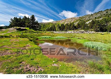 Small lagoon in the Sierra de Neila Burgos Castilla Le? n Spain View Large Photo Image Stock Photograph - Small lagoon in the Sierra de Neila Burgos Castilla Le? n Spain. Fotosearch