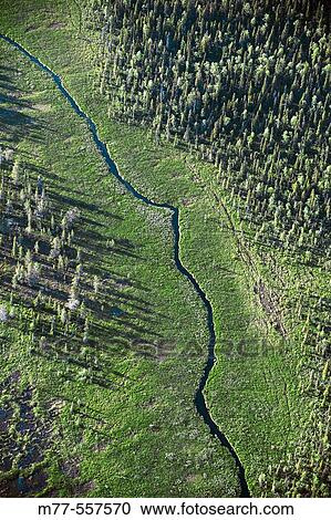 Small river in forest area, aerial view. Lappland. Sweden View Large Photo Image Stock Image - Small river in forest area, aerial view. Lappland. Sweden. Fotosearch