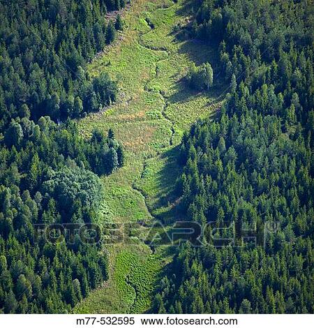Small river in forest area, aerial view. V? rmland. Sweden View Large Photo Image Stock Photography - Small river in forest area, aerial view. V? rmland. Sweden. Fotosearch