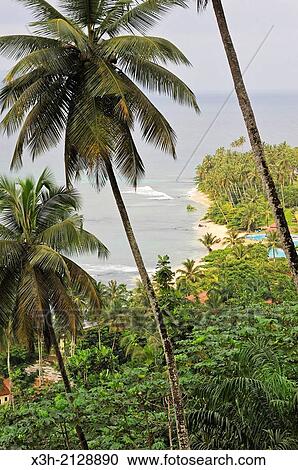 Stock Image - small Rolas turtledove island in the south of Sao Tome Island, Republic of Sao Tome and Principe, Africa.. Fotosearch