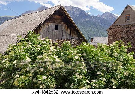 Stock Image - Small village of Gistain Chistau Valley, Huesca Pyrenees, Aragon, Spain. Fotosearch