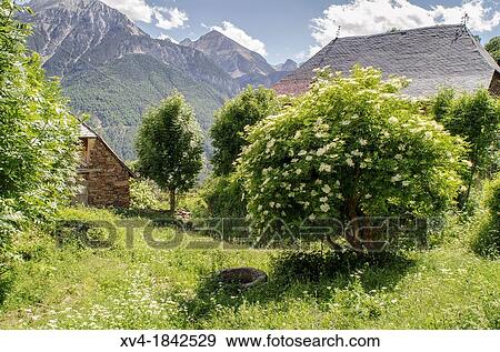 Small village of Gistain Chistau Valley, Huesca Pyrenees, Aragon, Spain View Large Photo Image Stock Photo - Small village of Gistain Chistau Valley, Huesca Pyrenees, Aragon, Spain. Fotosearch
