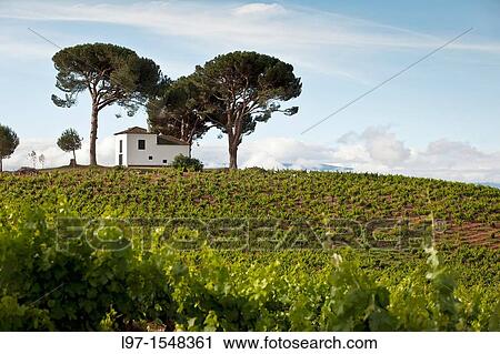 Small white building on a hill amongst pine trees along the Camino de Santiago near the village of Villafranca del Bierzo View Large Photo Image Stock Image - Small white building on a hill amongst pine trees along the Camino de Santiago near the village of Villafranca del Bierzo. Fotosearch
