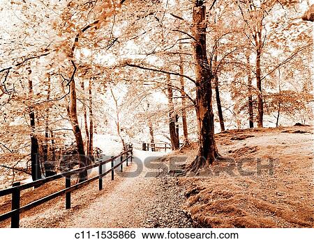 small wood autumn, Lake District, England, UK View Large Photo Image Stock Photograph - small wood autumn, Lake District, England, UK. Fotosearch