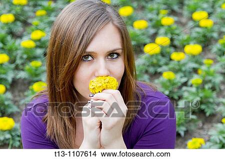 Smelling yellow flower View Large Photo Image Picture - Smelling yellow flower. Fotosearch