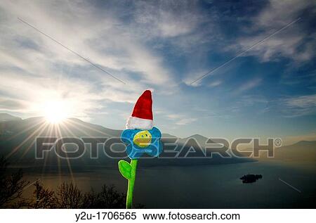 Smile flower with christmas hat and sunbeam View Large Photo Image Stock Photography - Smile flower with christmas hat and sunbeam. Fotosearch