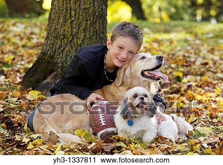 Smiling young boy posing in front of the camera with his Goldren Retriever and Shih Tzu and his rugby ball View Large Photo Image Stock Image - Smiling young boy posing in front of the camera with his Goldren Retriever and Shih Tzu and his rugby ball. Fotosearch