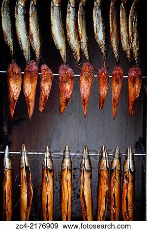 Smoked fish steaks on spits. View Large Photo Image Stock Photo - Smoked fish steaks on spits.. Fotosearch