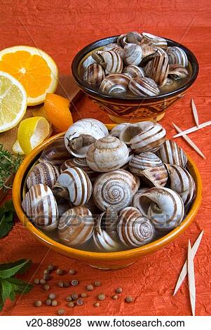 Snail broth with snails, Moroccan snails soup, Arab gastronomy View Large Photo Image Stock Photo - Snail broth with snails, Moroccan snails soup, Arab gastronomy. Fotosearch