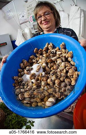 Stock Photograph - Snail stand in the Central Market Valencia Comunidad Valenciana Spain.. Fotosearch