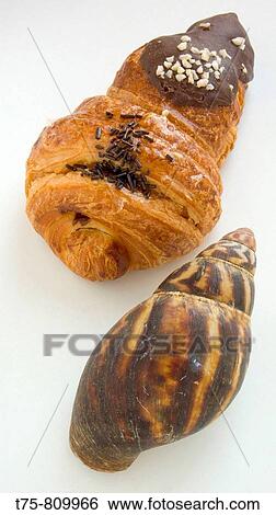 Stock Photograph - Snails. Fotosearch