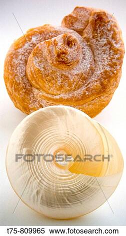 Snails View Large Photo Image Stock Photography - Snails. Fotosearch