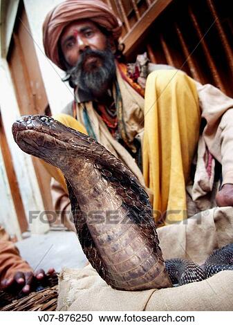 Snake charmer, Varanasi, Uttar Pradesh, India View Large Photo Image Stock Image - Snake charmer, Varanasi, Uttar Pradesh, India. Fotosearch