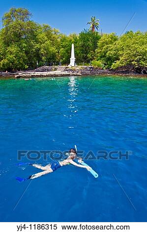 Snorkelers And Captain Cook Monument Kealakekua Bay Marine Preserve Captain Cook Big Island Hawaii Usa Pacific Ocean Stock Photography Yj4 1186315 Fotosearch