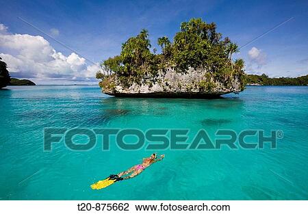 Snorkeling at Islands of Palau, Micronesia, Palau View Large Photo Image Stock Image - Snorkeling at Islands of Palau, Micronesia, Palau. Fotosearch