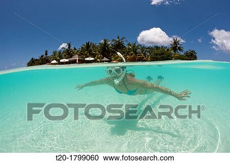 Stock Image - Snorkeling at Kurumba Island, North Male Atoll, Indian Ocean, Maldives. Fotosearch