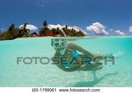 Snorkeling at Kurumba Island, North Male Atoll, Indian Ocean, Maldives View Large Photo Image Stock Image - Snorkeling at Kurumba Island, North Male Atoll, Indian Ocean, Maldives. Fotosearch