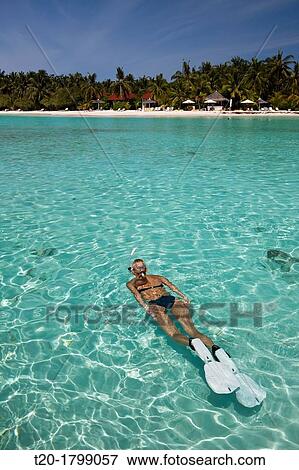 Snorkeling at Kurumba Island, North Male Atoll, Indian Ocean, Maldives View Large Photo Image Stock Photo - Snorkeling at Kurumba Island, North Male Atoll, Indian Ocean, Maldives. Fotosearch