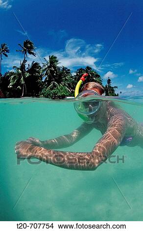 Picture - Snorkeling at Maldives, Maldives, Indian Ocean, Meemu Atoll. Fotosearch