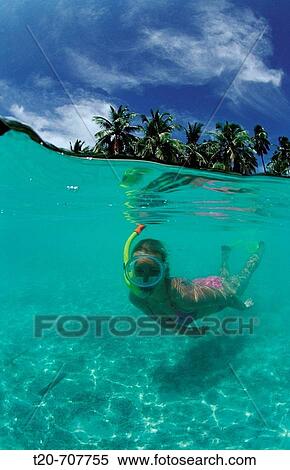 Snorkeling at Maldives, Maldives, Indian Ocean, Meemu Atoll View Large Photo Image Stock Photography - Snorkeling at Maldives, Maldives, Indian Ocean, Meemu Atoll. Fotosearch