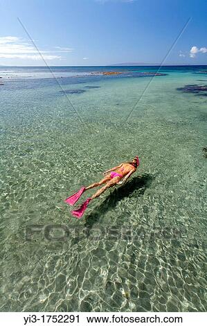 Snorkeling at Olowalu, Maui, Hawaii View Large Photo Image Stock Image - Snorkeling at Olowalu, Maui, Hawaii. Fotosearch