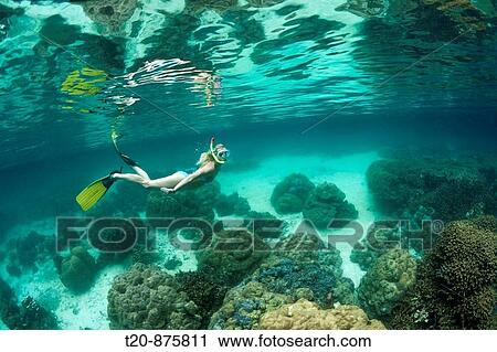 Stock Image - Snorkeling at Risong Bay, Risong Bay, Micronesia, Palau. Fotosearch