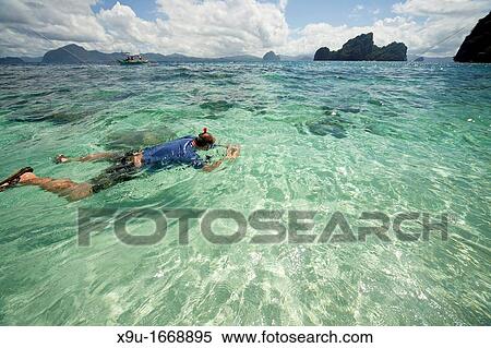 snorkeling at Simisu Island, El Nido, Palawan, Philippines, Asia View Large Photo Image Stock Photography - snorkeling at Simisu Island, El Nido, Palawan, Philippines, Asia. Fotosearch