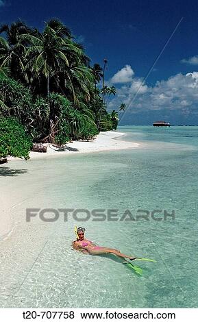 Stock Photo - Snorkeling close to Island, Maldives, Indian Ocean, Medhufushi, Meemu Atoll. Fotosearch