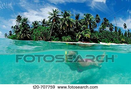 Stock Photo - Snorkeling in Lagoon, Maldives, Indian Ocean, Medhufushi, Meemu Atoll. Fotosearch