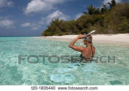 Snorkeling in Lagoon of Eriyadu Island, North Male Atoll, Maldives View Large Photo Image Stock Image - Snorkeling in Lagoon of Eriyadu Island, North Male Atoll, Maldives. Fotosearch