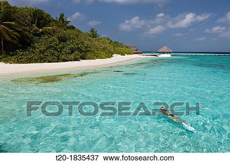 Stock Photo - Snorkeling in Lagoon of Eriyadu Island, North Male Atoll, Maldives. Fotosearch