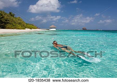 Snorkeling in Lagoon of Eriyadu Island, North Male Atoll, Maldives View Large Photo Image Stock Photo - Snorkeling in Lagoon of Eriyadu Island, North Male Atoll, Maldives. Fotosearch