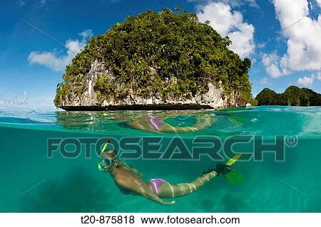 Snorkeling in Palau, Micronesia, Palau View Large Photo Image Stock Photo - Snorkeling in Palau, Micronesia, Palau. Fotosearch