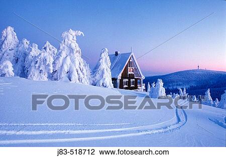 Snow-covered spruce trees and wood house, Ore Mountains, Saxony, Germany View Large Photo Image Stock Image - Snow-covered spruce trees and wood house, Ore Mountains, Saxony, Germany. Fotosearch