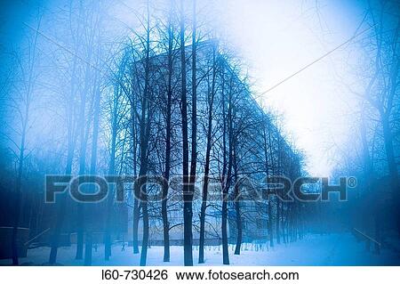 Snow, Moscow, Russia View Large Photo Image Stock Photograph - Snow, Moscow, Russia. Fotosearch