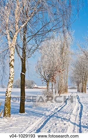 Snowcapped car tracks in winter View Large Photo Image Stock Image - Snowcapped car tracks in winter. Fotosearch
