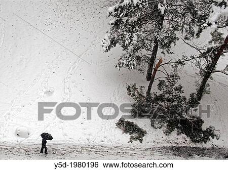 Snowed street, man walking under umbrella, snowfall, broken tree, winter in Geneve, view from above, Geneva, Switzerland View Large Photo Image Stock Photograph - Snowed street, man walking under umbrella, snowfall, broken tree, winter in Geneve, view from above, Geneva, Switzerland. Fotosearch