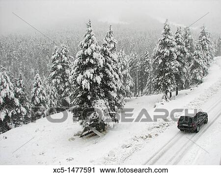 Snowfall in the ski resort of Port del Comte, Barcelona, Catalonia, Spain View Large Photo Image Stock Image - Snowfall in the ski resort of Port del Comte, Barcelona, Catalonia, Spain. Fotosearch