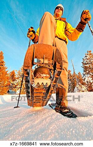 Snowshoeing on Deadline Ridge high in the Goose Creek Mountains in southern Idaho View Large Photo Image Stock Image - Snowshoeing on Deadline Ridge high in the Goose Creek Mountains in southern Idaho. Fotosearch