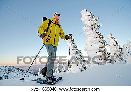 Snowshoeing on Mount Harrison high in the Albion Mountains in southern Idaho View Large Photo Image Stock Image - Snowshoeing on Mount Harrison high in the Albion Mountains in southern Idaho. Fotosearch