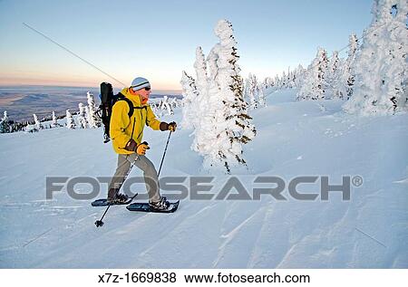 Snowshoeing on Mount Harrison high in the Albion Mountains above the city of Albion in southern Idaho View Large Photo Image Stock Photo - Snowshoeing on Mount Harrison high in the Albion Mountains above the city of Albion in southern Idaho. Fotosearch