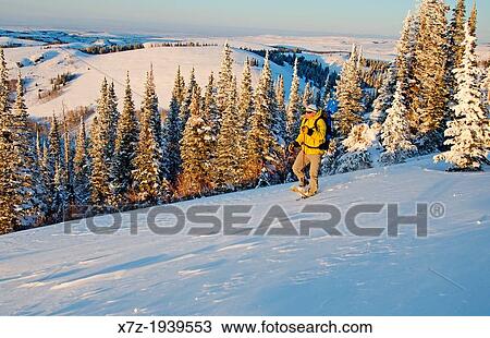 Snowshoeing on Pike Mountain high above Rock Creek Canyon in the Goose Creek Mountains in southern Idaho View Large Photo Image Stock Image - Snowshoeing on Pike Mountain high above Rock Creek Canyon in the Goose Creek Mountains in southern Idaho. Fotosearch