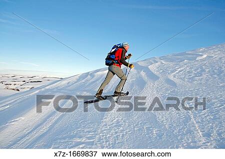 Snowshoeing on Pike Mountain high in the Goose Creek Mountains of southern Idaho View Large Photo Image Stock Photo - Snowshoeing on Pike Mountain high in the Goose Creek Mountains of southern Idaho. Fotosearch