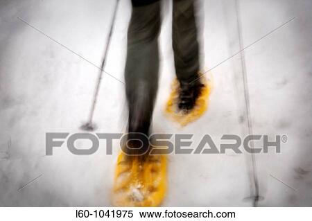 Snowshoeing View Large Photo Image Stock Photography - Snowshoeing. Fotosearch